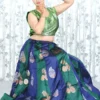 Green & Blue Banarasi Blend Skirt Crop Top Set