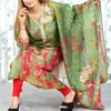 Green & Red Placement Print Chanderi Kurta with Dupatta (2 Pc Set)