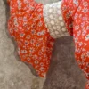 Sunset Bloom Netted Chiffon Dress – Nine2Five Plus